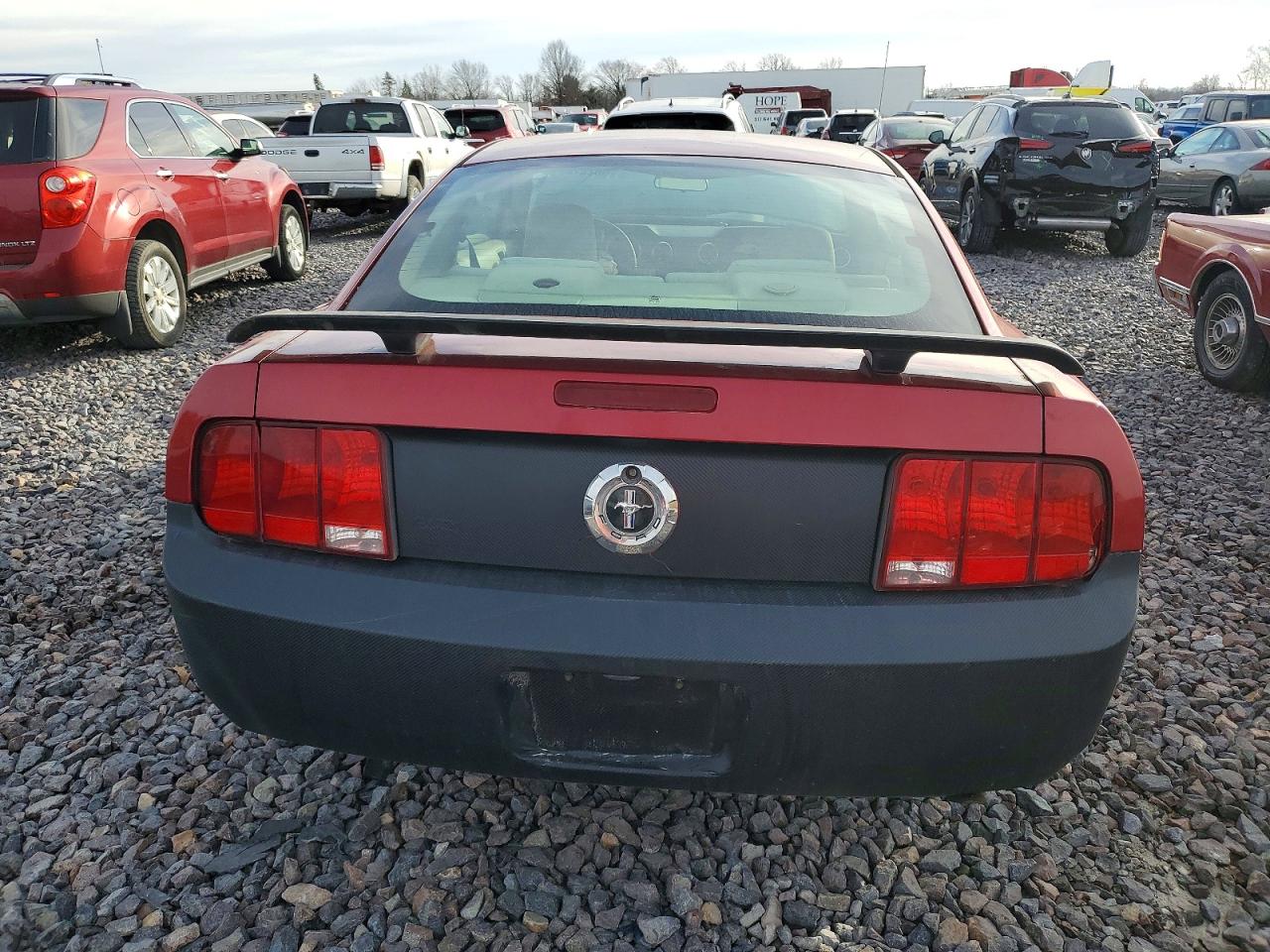2005 FORD MUSTANG photo 6