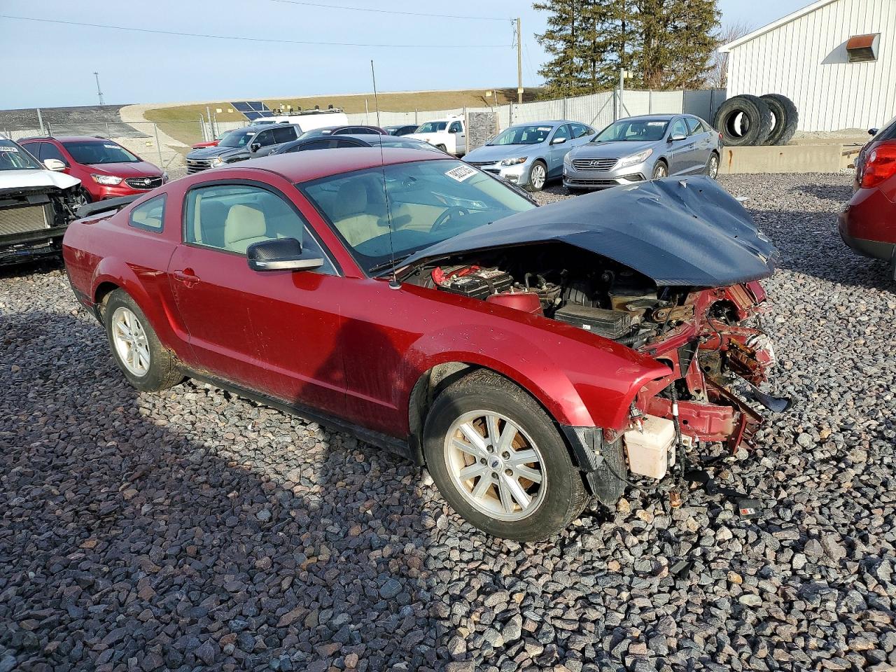 2005 FORD MUSTANG photo 4