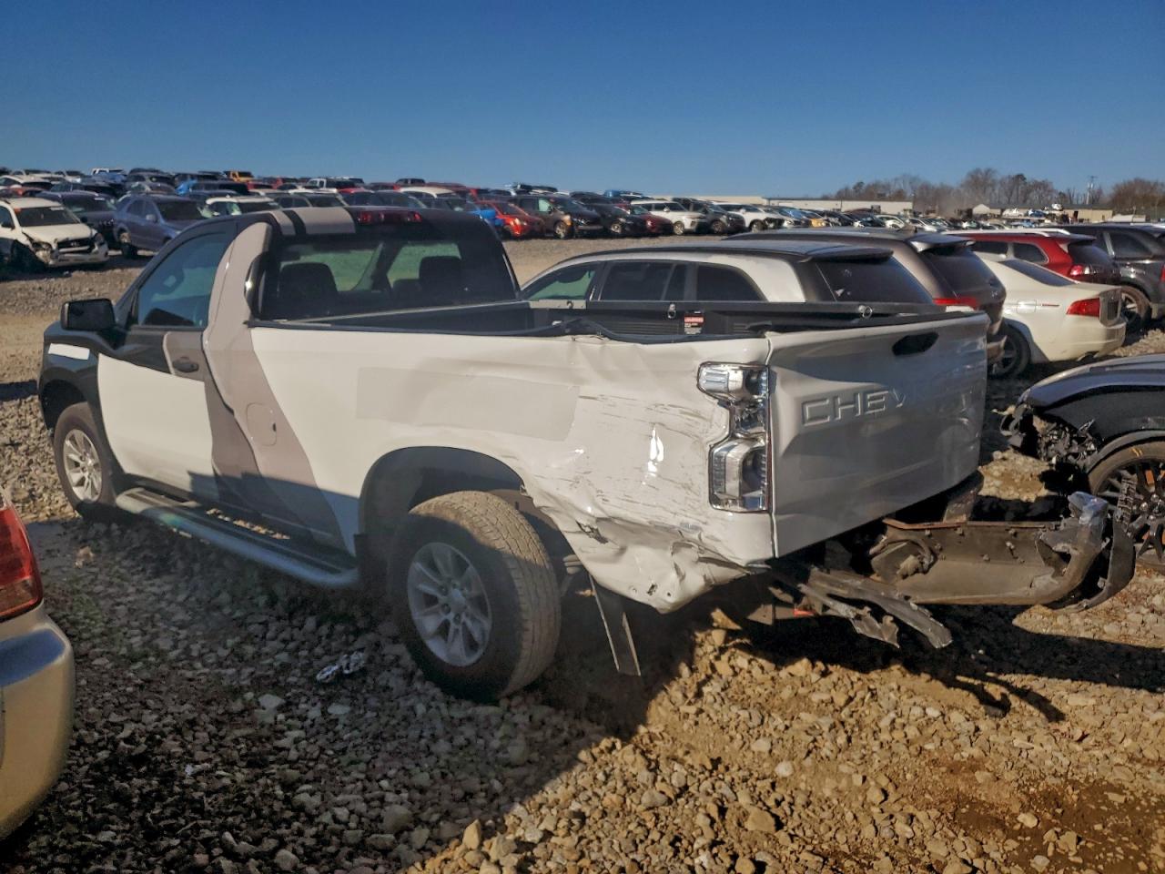 2024 CHEVROLET SILVERADO C1500 photo 2