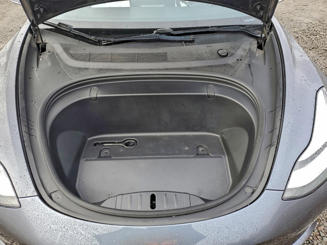 2020 TESLA MODEL 3 photo 11