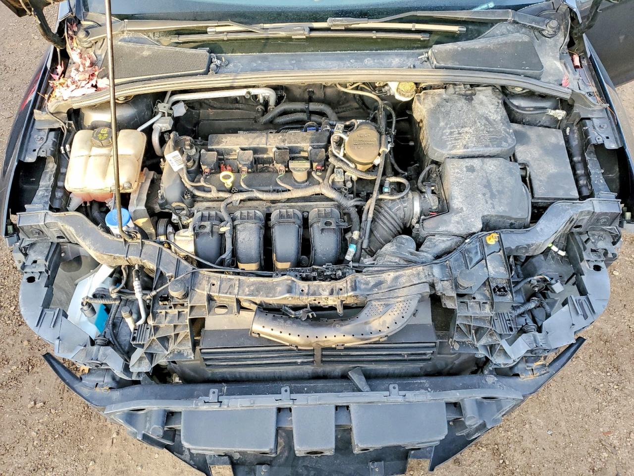2014 FORD FOCUS SE photo 11