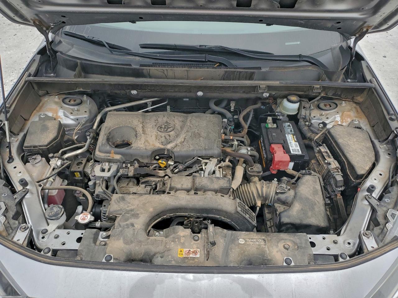 2019 TOYOTA RAV4 LE photo 12