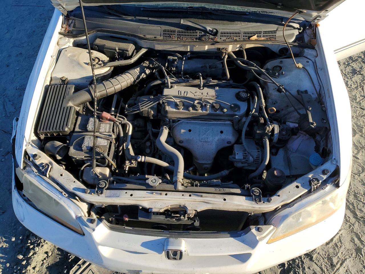 1999 HONDA ACCORD LX photo 11