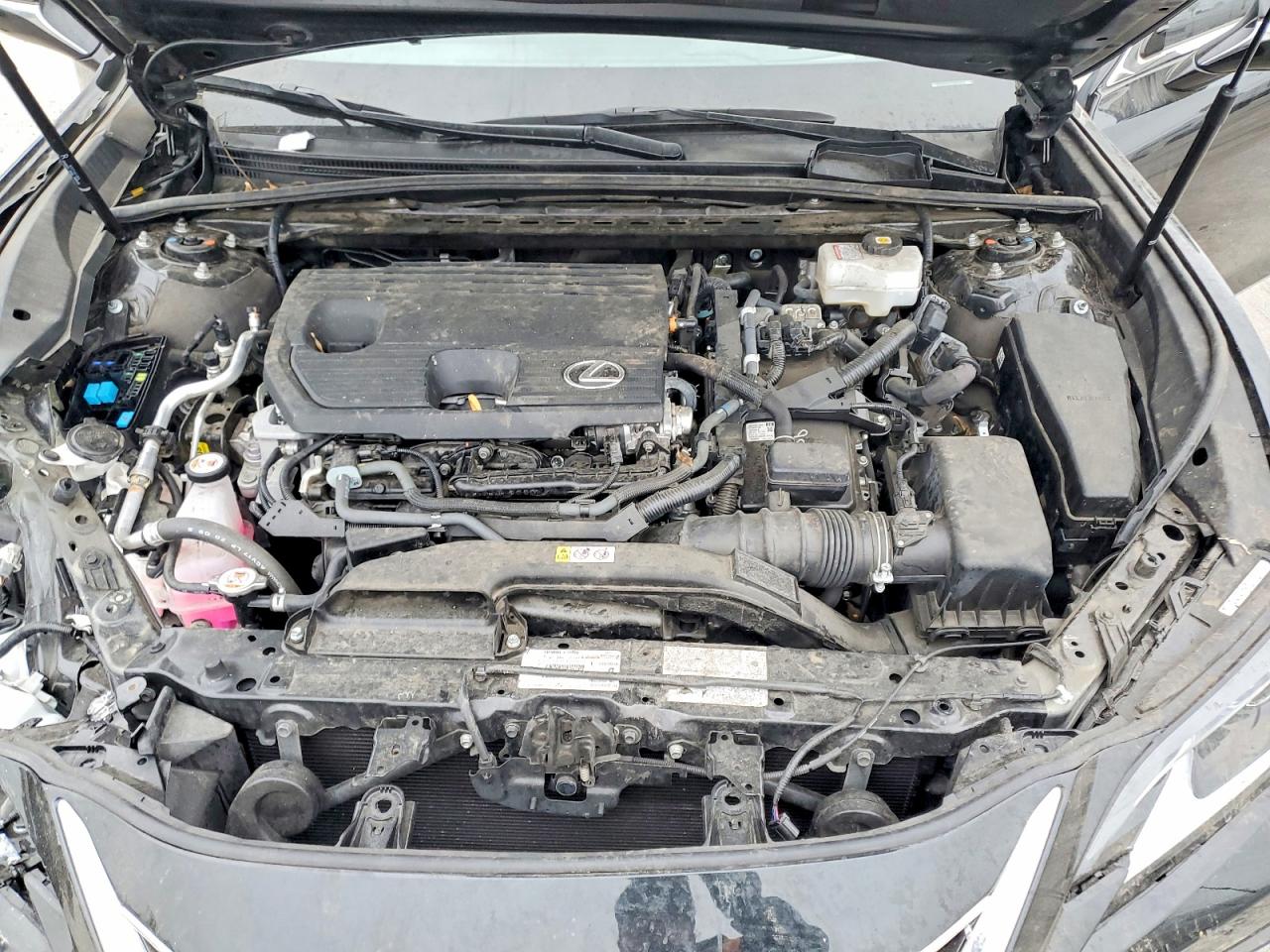 2024 LEXUS ES 300H BASE photo 11