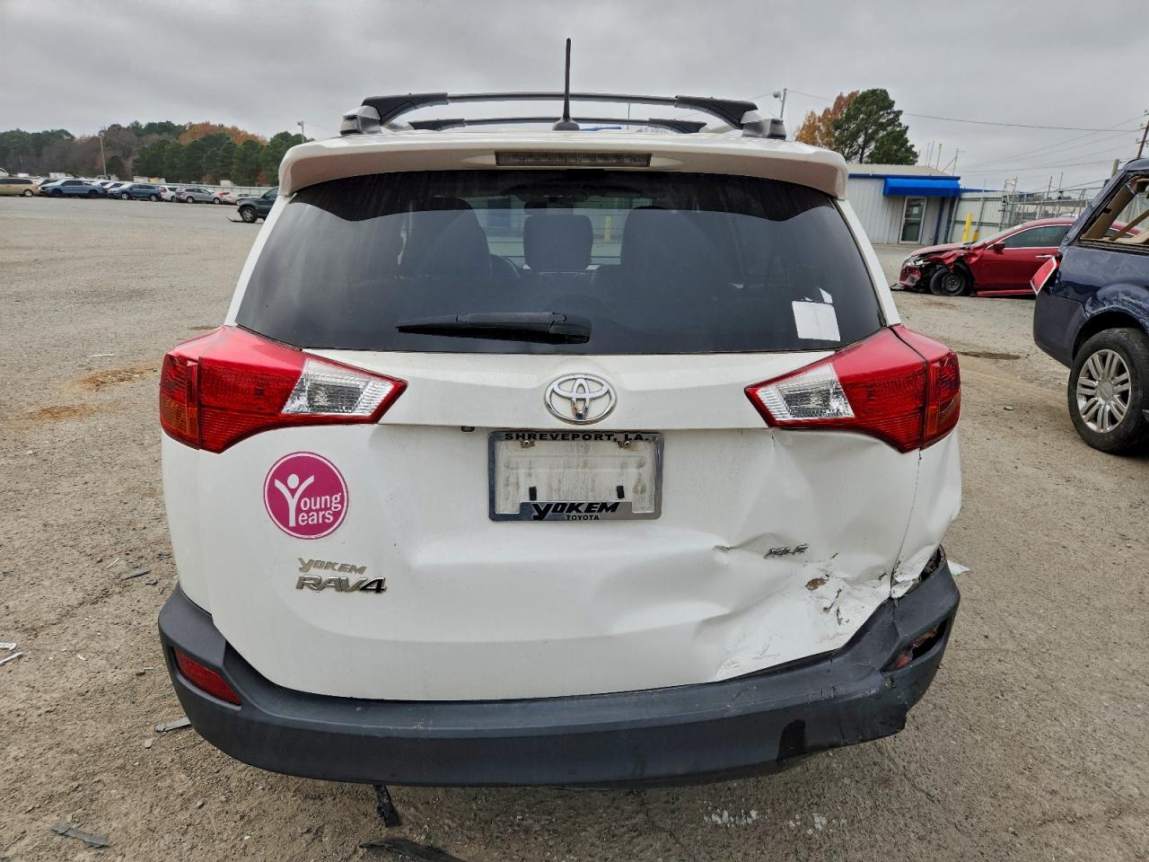 2015 TOYOTA RAV4 XLE photo 6