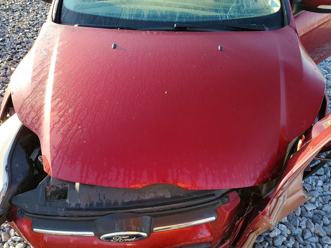 2014 FORD FOCUS SE photo 11