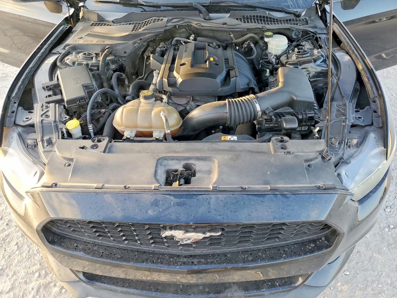2015 FORD MUSTANG photo 11