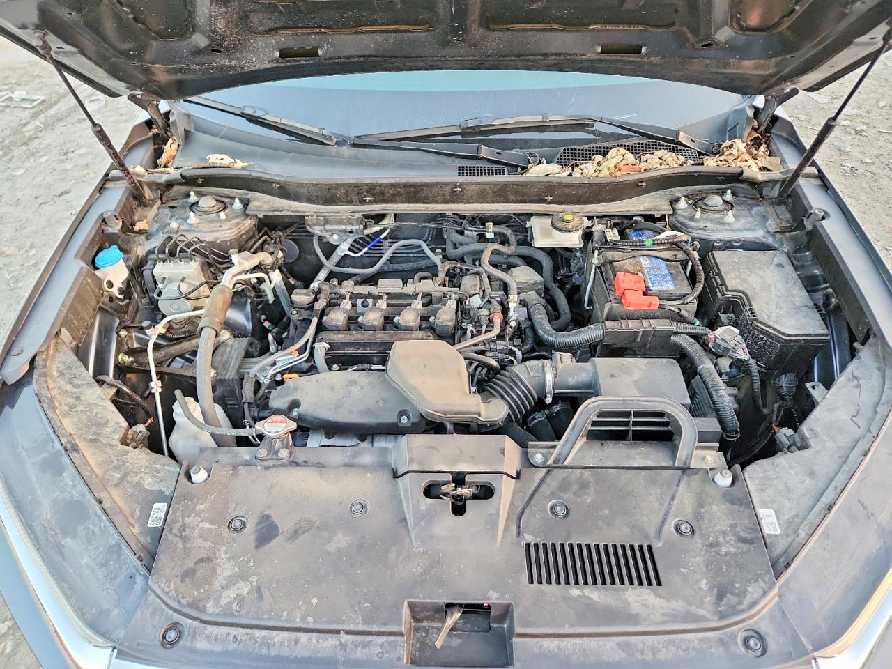 2024 HONDA CR-V EX photo 12