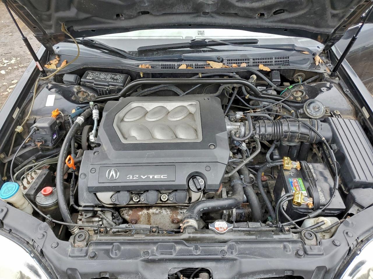 1999 ACURA 3.2TL photo 11