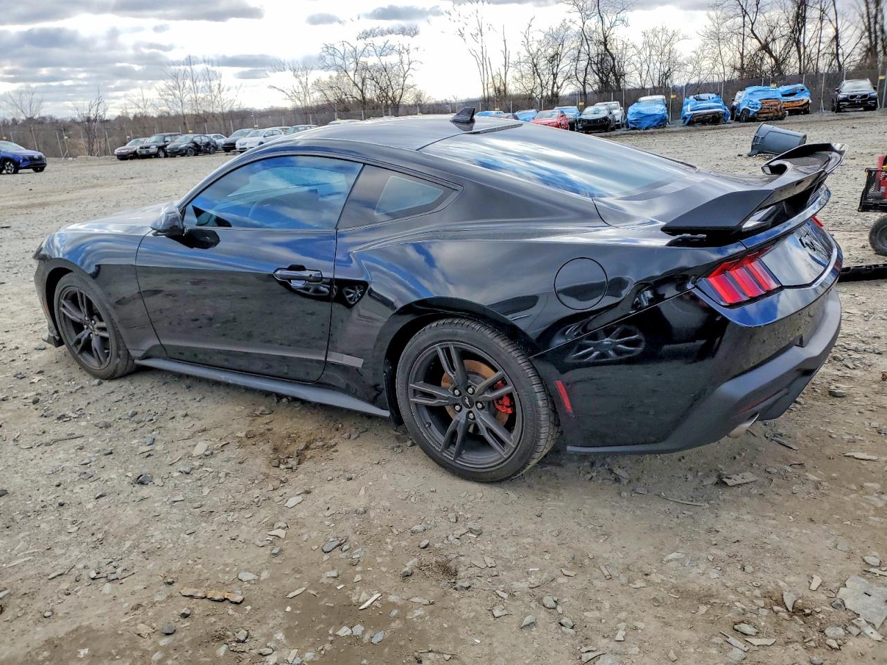 2024 FORD MUSTANG photo 3