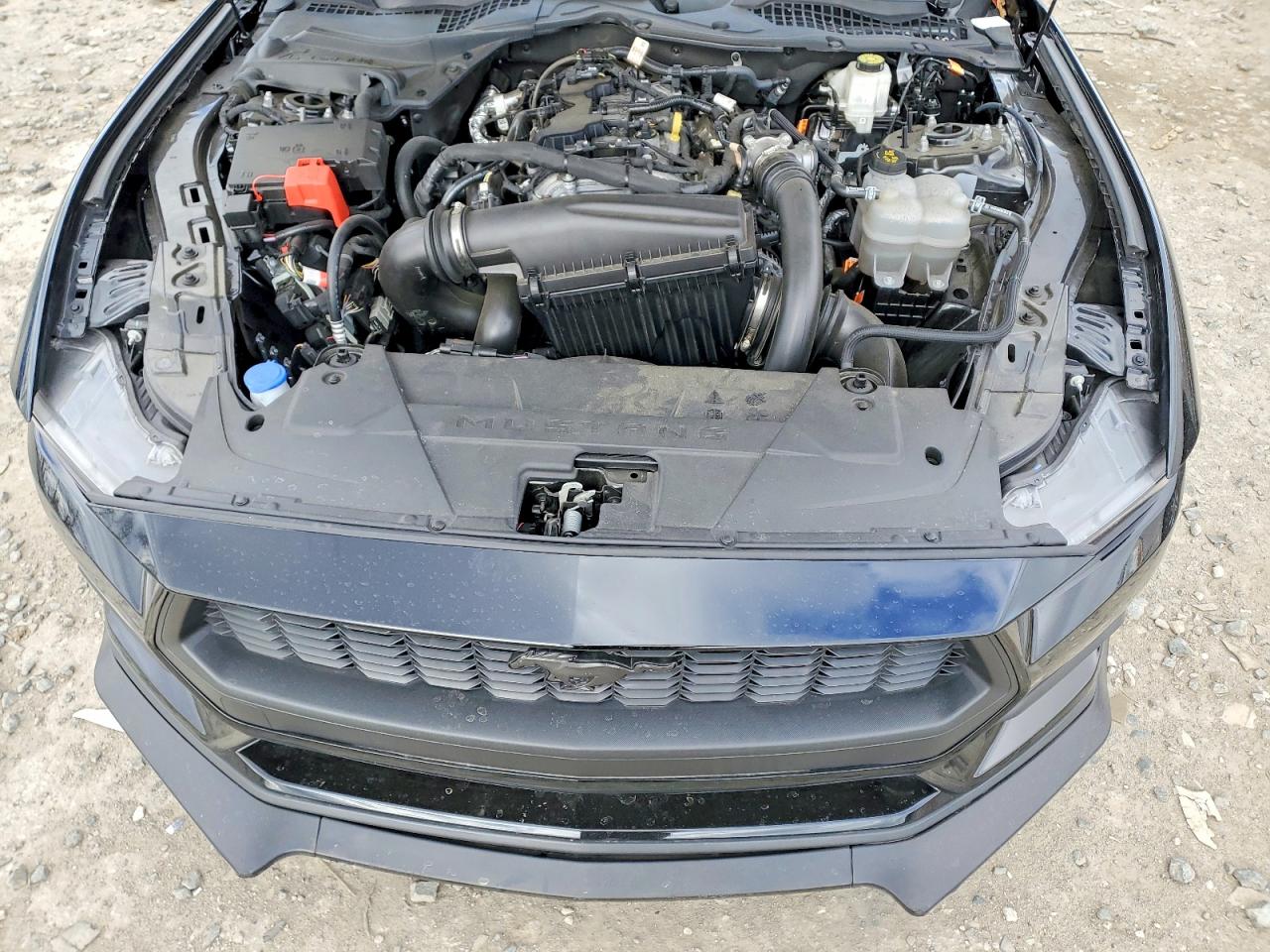 2024 FORD MUSTANG photo 21