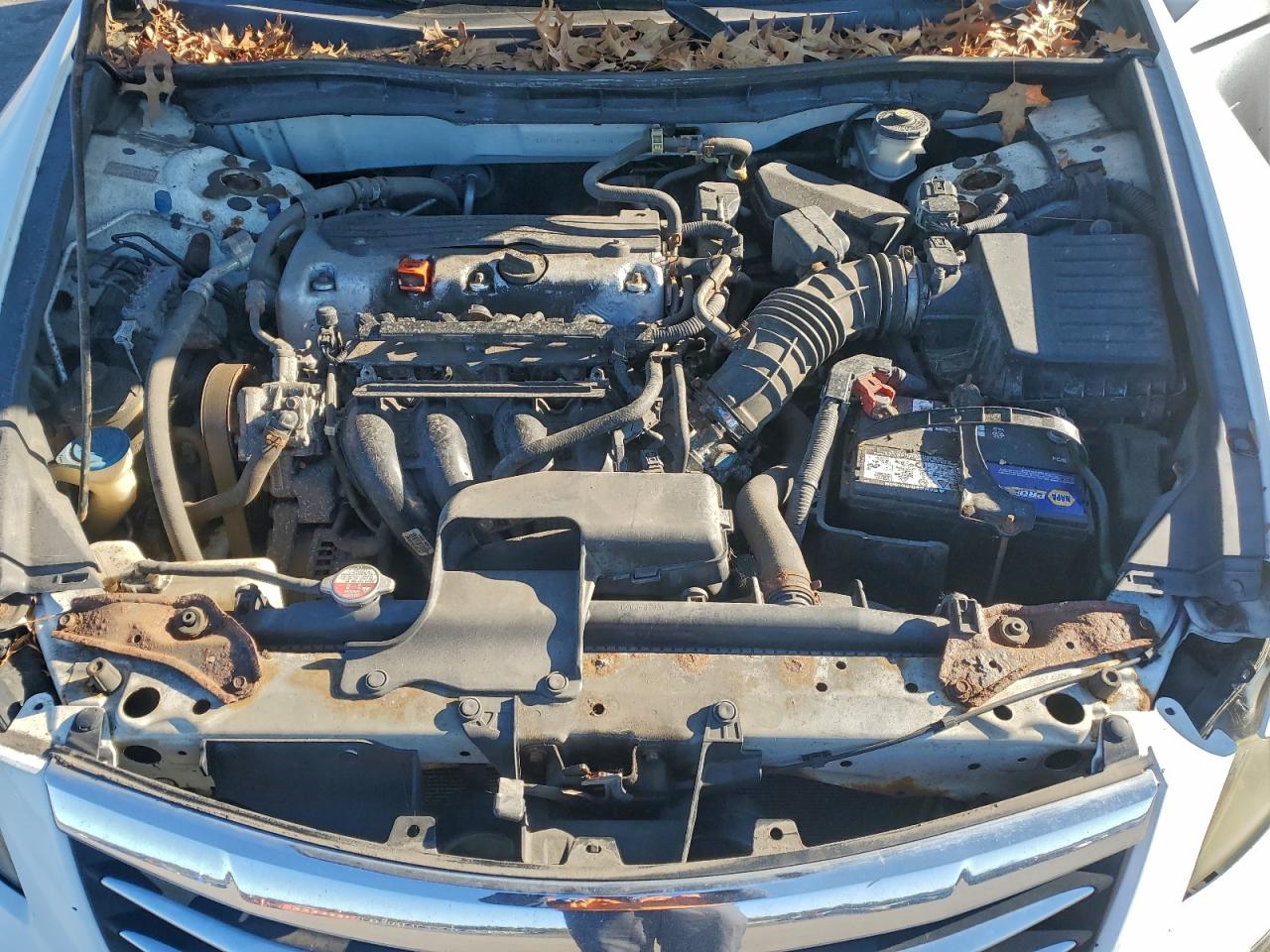 2011 HONDA ACCORD SE photo 11