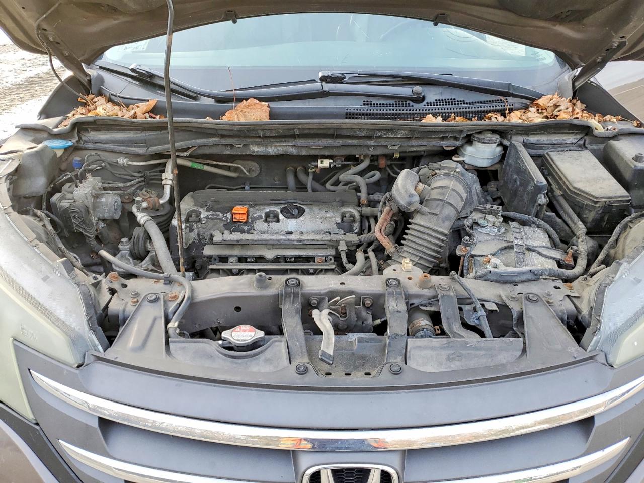 2014 HONDA CR-V EXL photo 12