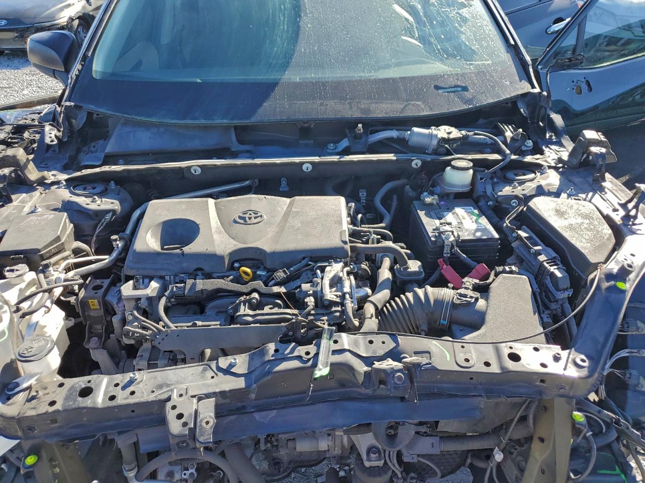 2019 TOYOTA RAV4 LE photo 12
