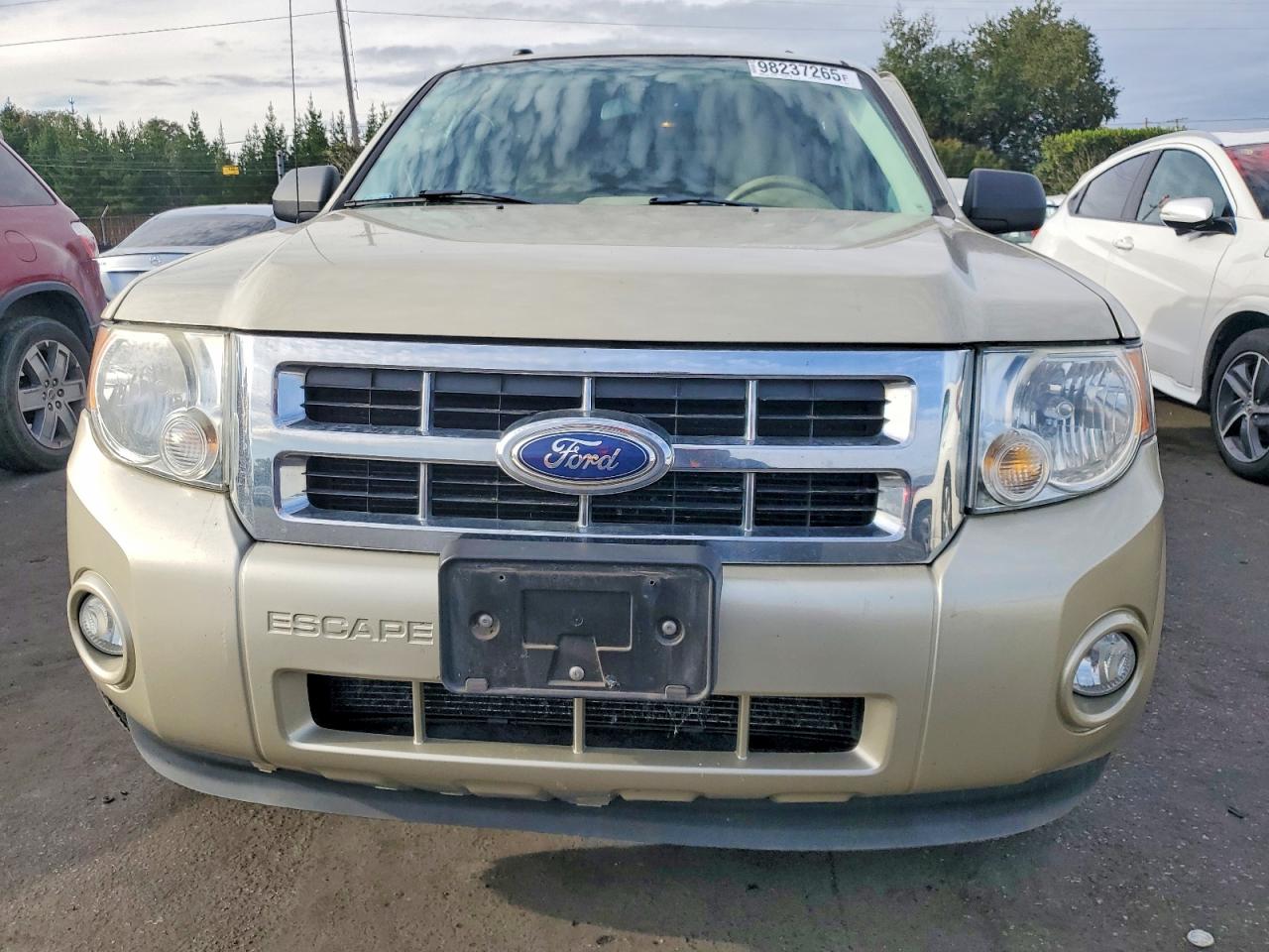 2011 FORD ESCAPE XLT photo 5