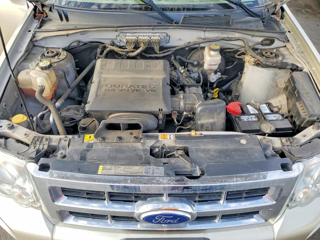 2011 FORD ESCAPE XLT photo 12