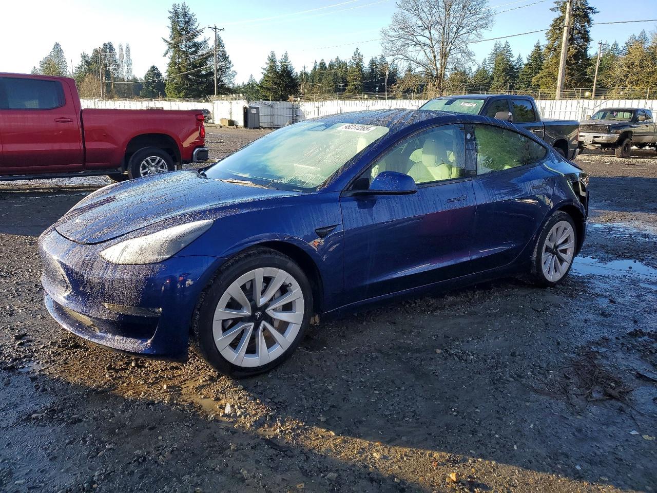 2023 TESLA MODEL 3