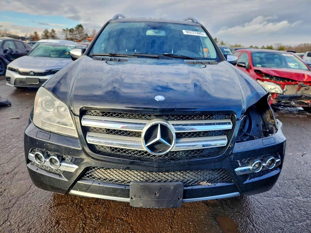 2010 MERCEDES-BENZ GL 450 4MATIC photo 9