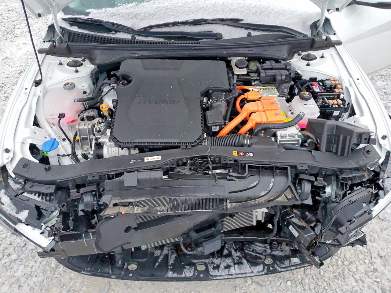 2025 HYUNDAI ELANTRA photo 11