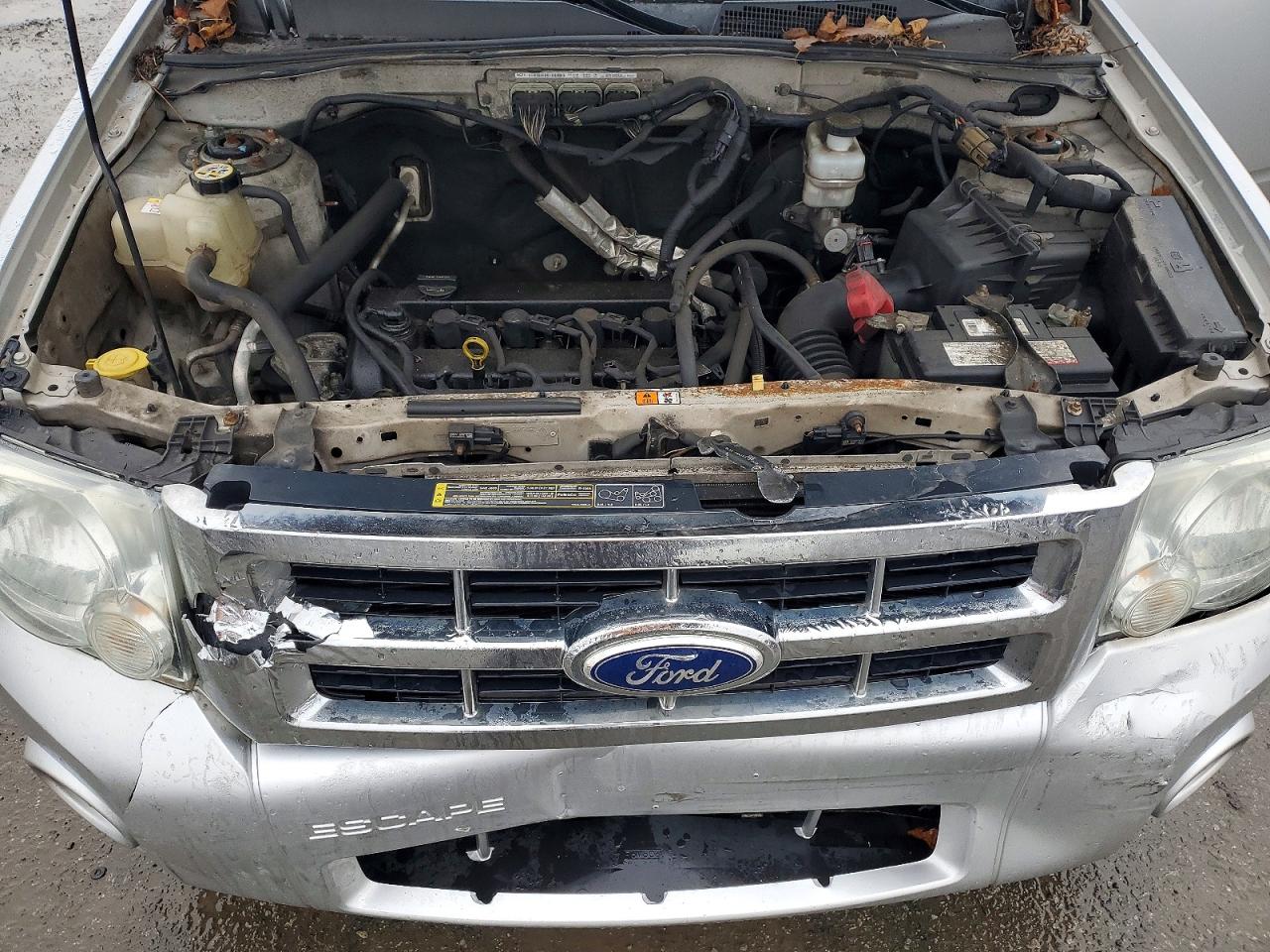 2010 FORD ESCAPE XLT photo 12