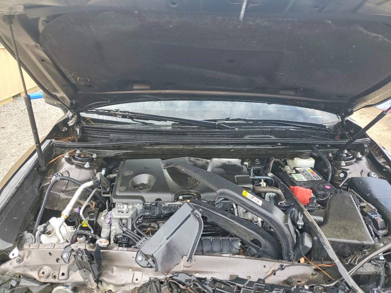2019 TOYOTA CAMRY L photo 11
