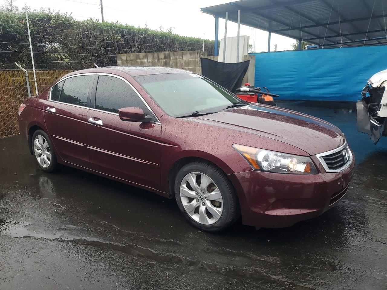 2009 HONDA ACCORD EXL photo 7
