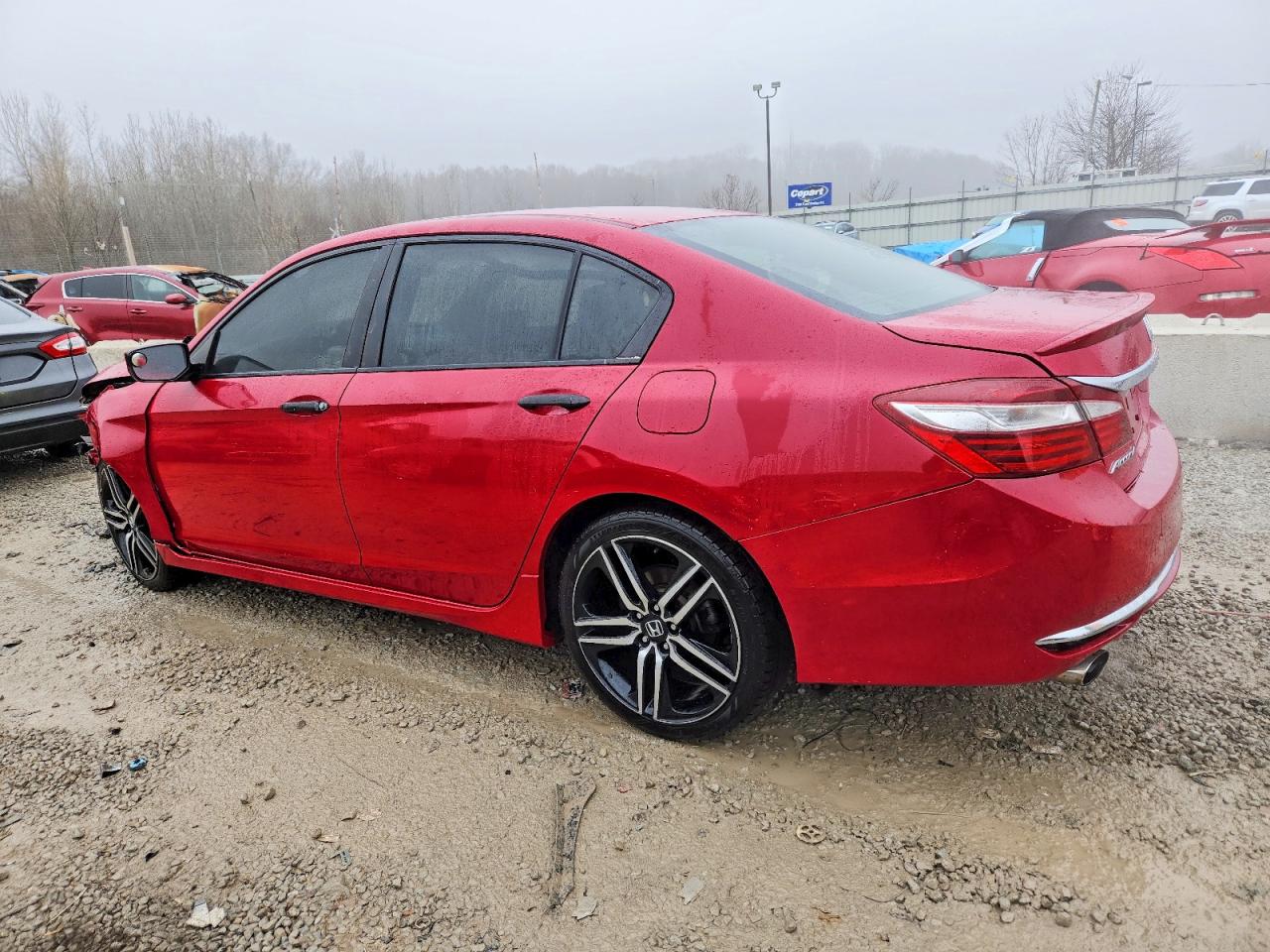 2017 HONDA ACCORD SPORT SPECIAL EDITION photo 2