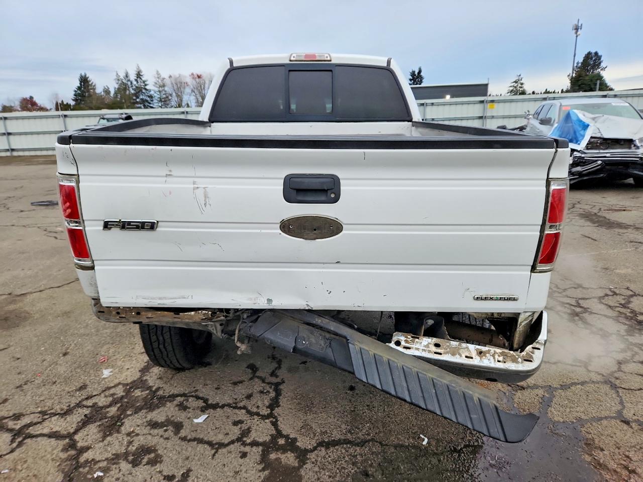 2011 FORD F150 SUPERCREW photo 6