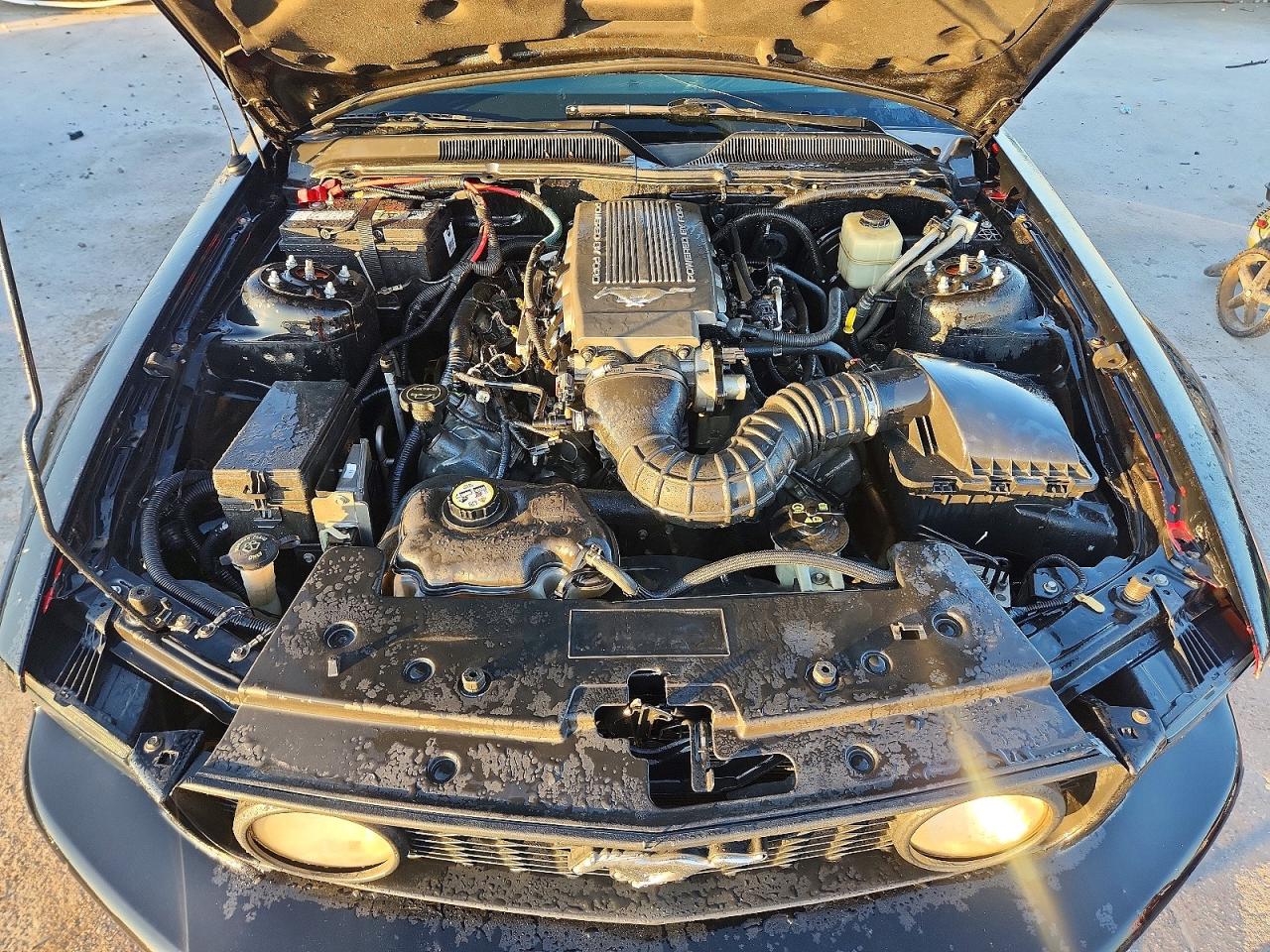 2008 FORD MUSTANG GT photo 11