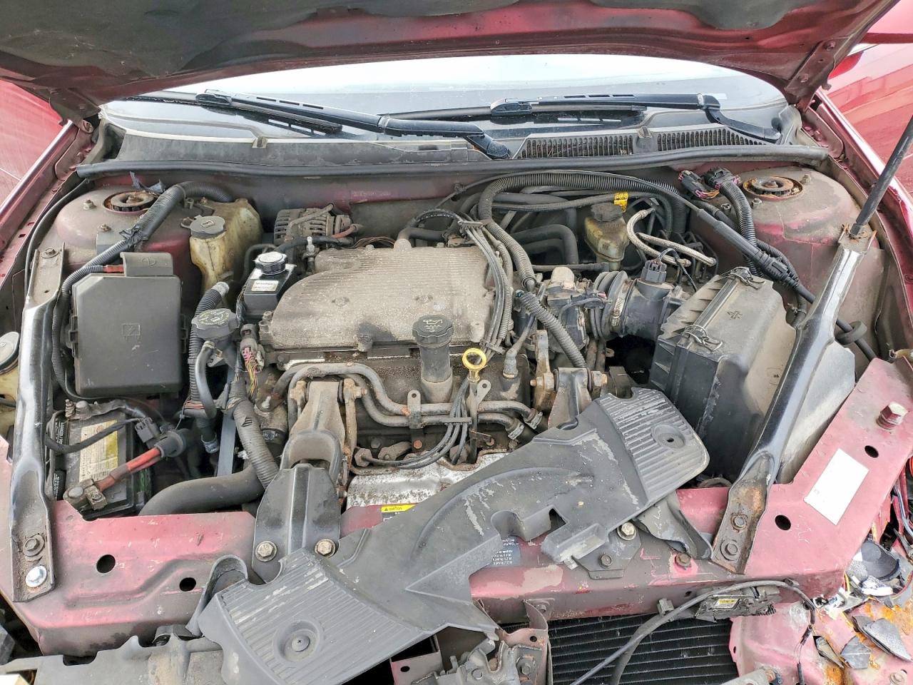2009 CHEVROLET IMPALA 1LT photo 11