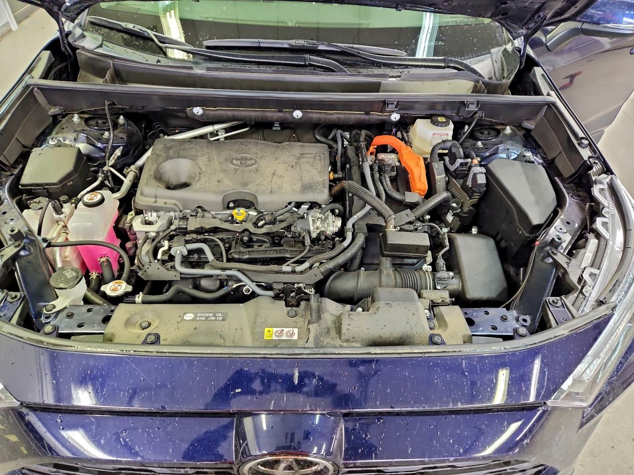 2025 TOYOTA RAV4 XLE photo 12