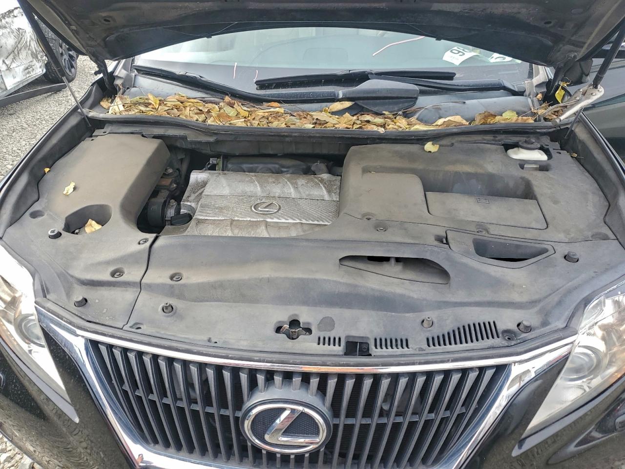 2011 LEXUS RX 350 photo 12