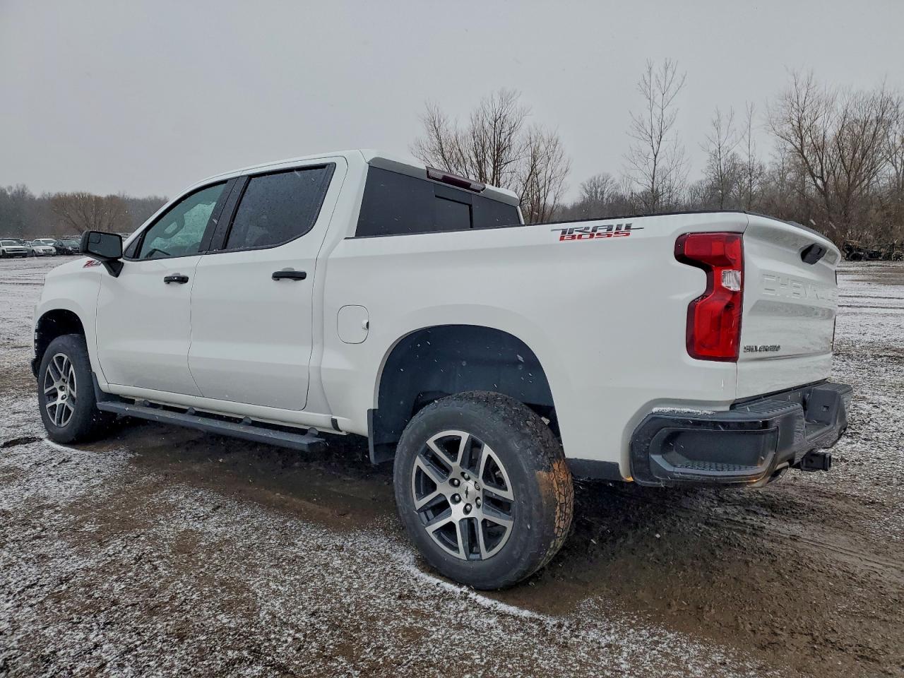 2020 CHEVROLET SILVERADO K1500 LT TRAIL BOSS photo 2