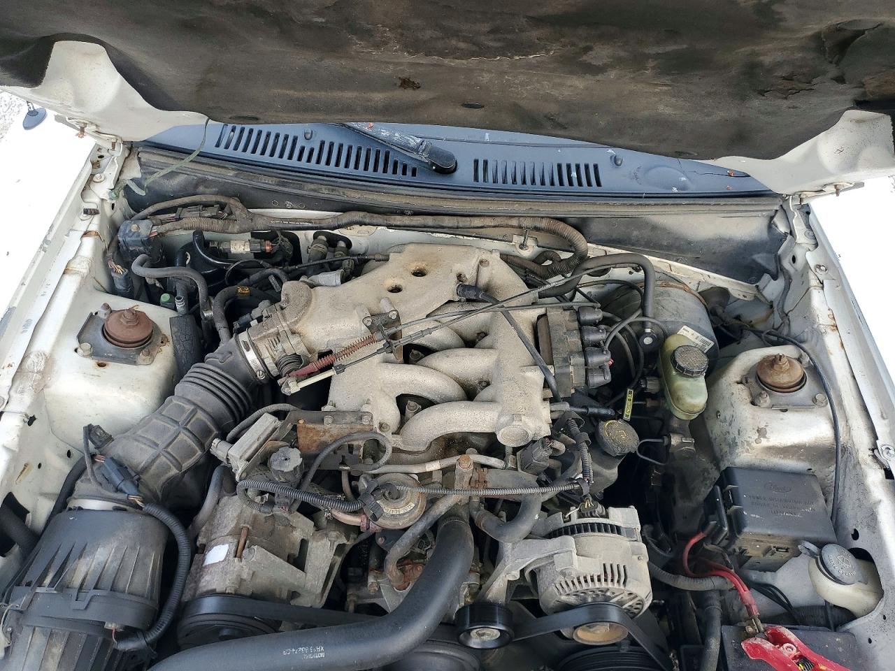 2000 FORD MUSTANG photo 11