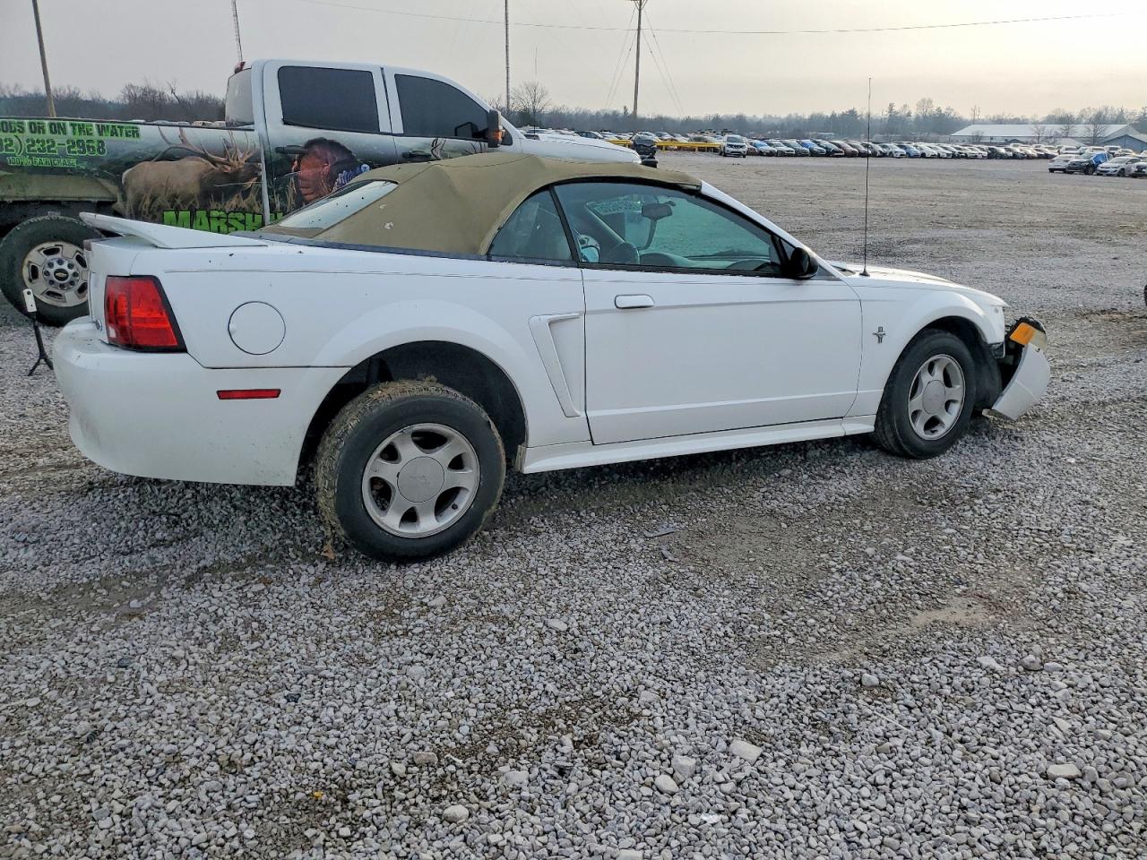 2000 FORD MUSTANG photo 3