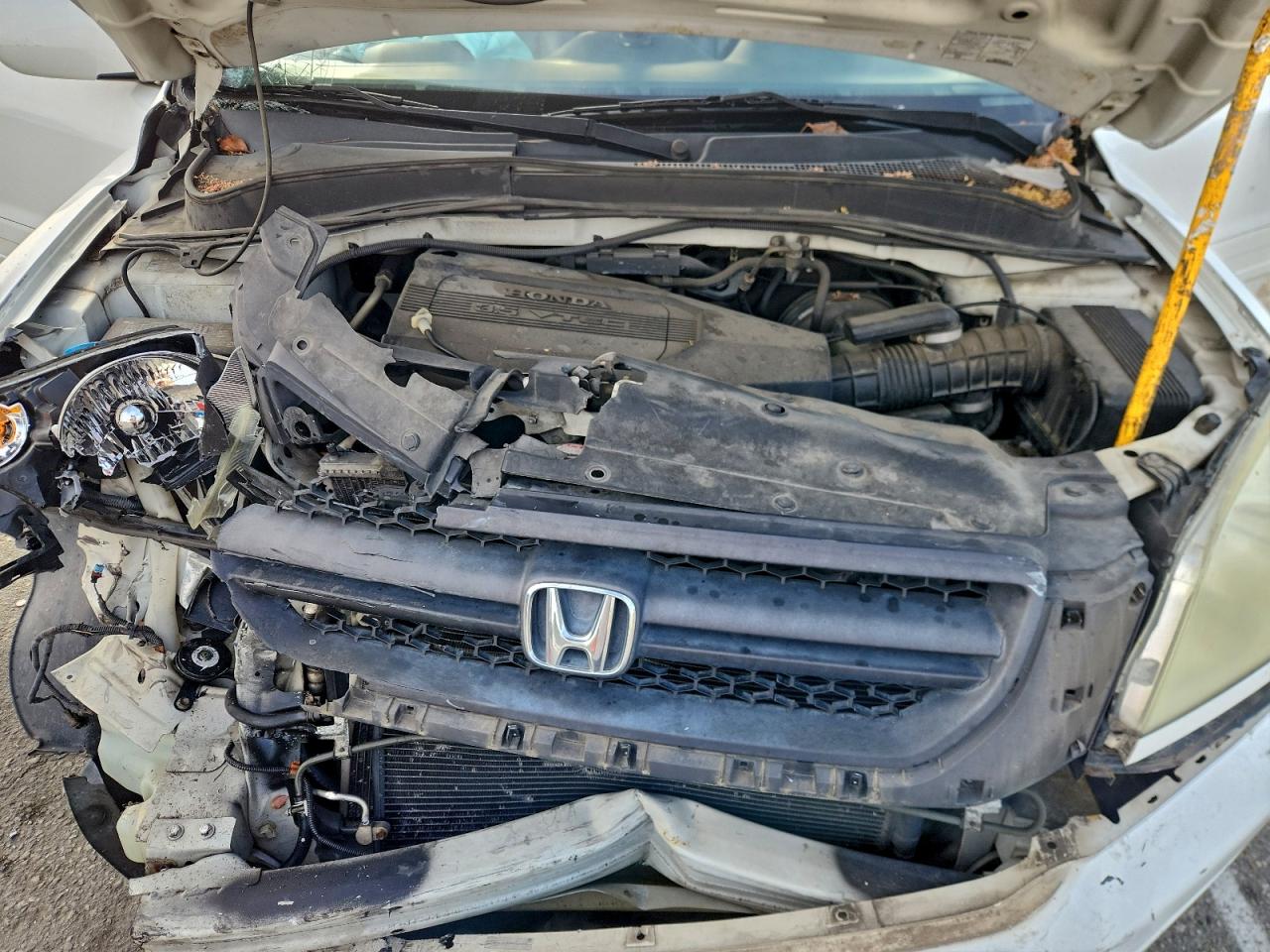 2004 HONDA PILOT EXL photo 11