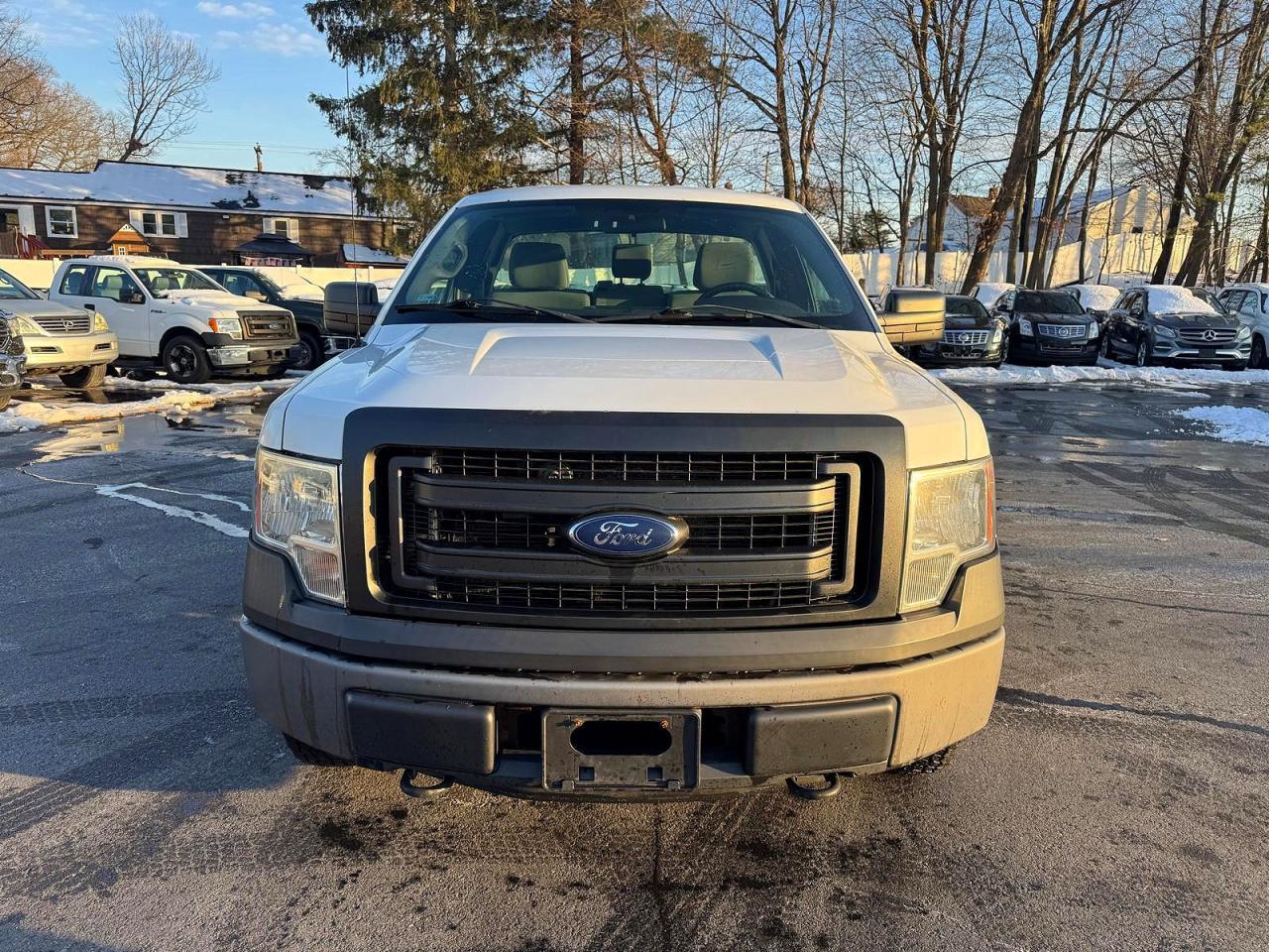 2013 FORD F150 photo 5