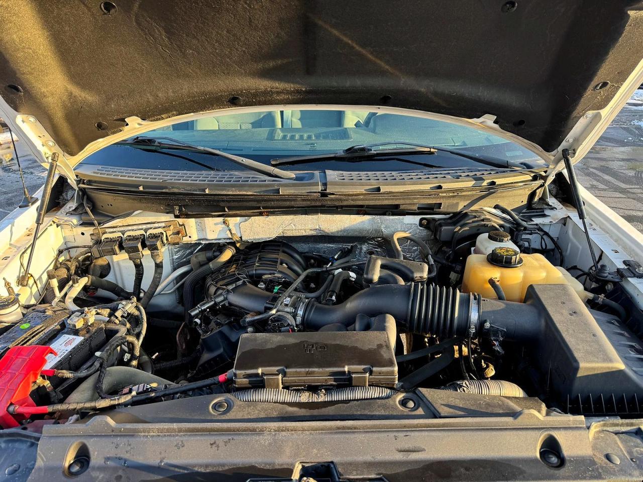 2013 FORD F150 photo 9