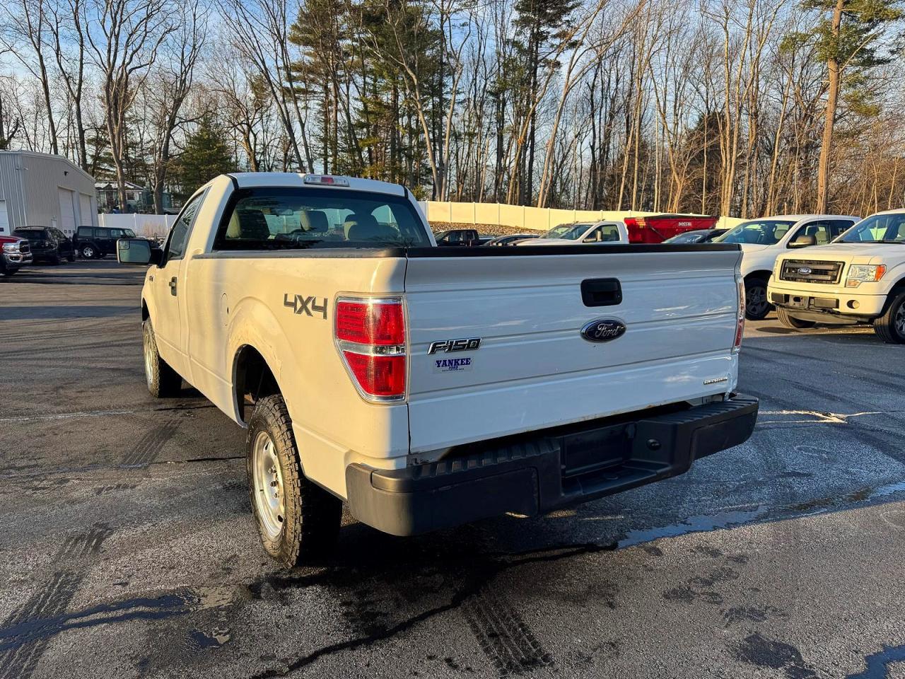 2013 FORD F150 photo 2