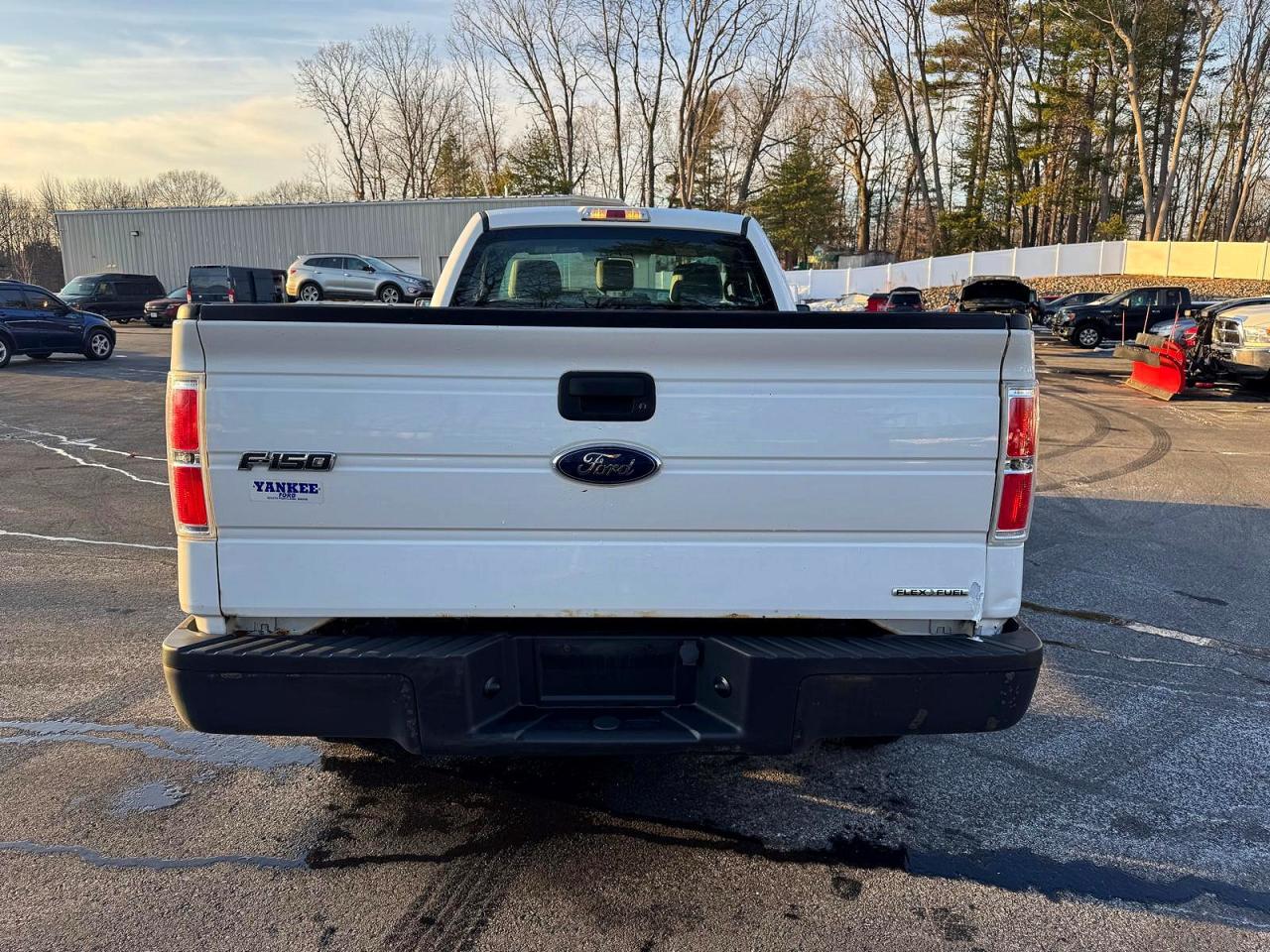 2013 FORD F150 photo 6