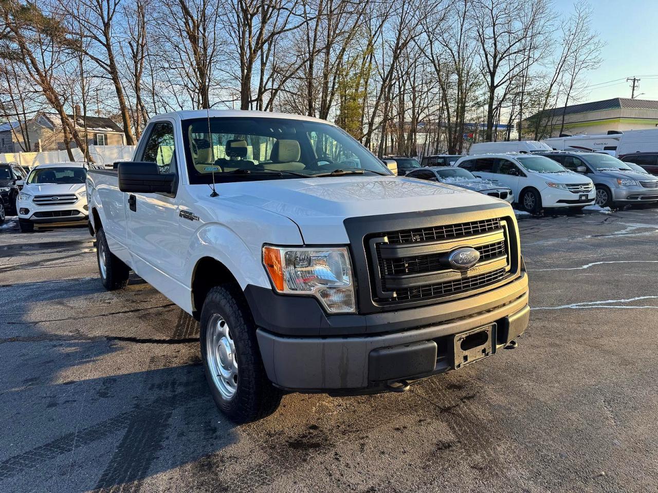 2013 FORD F150 photo 4