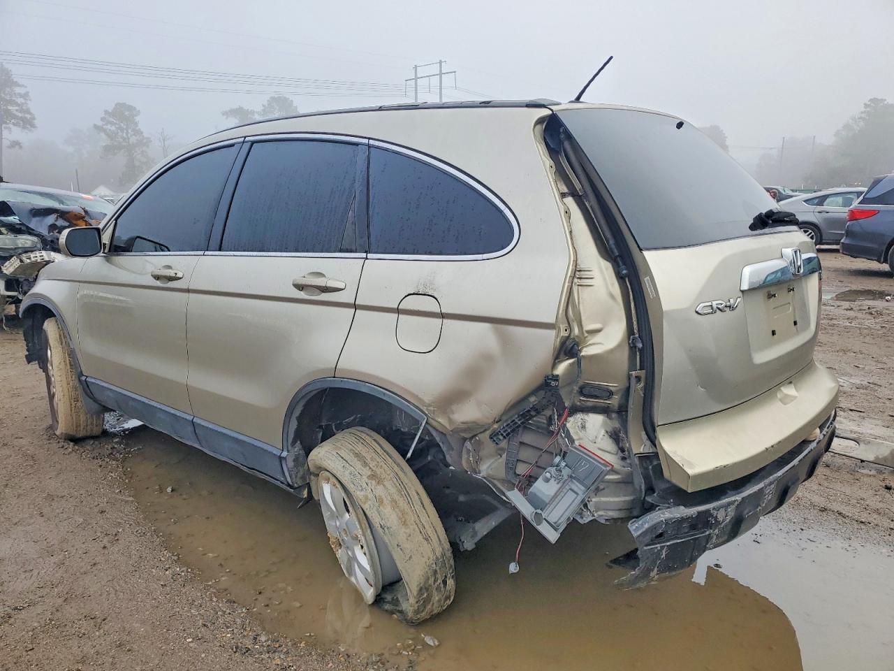 2009 HONDA CR-V EXL photo 3