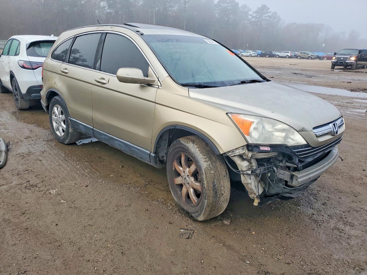 2009 HONDA CR-V EXL photo 7