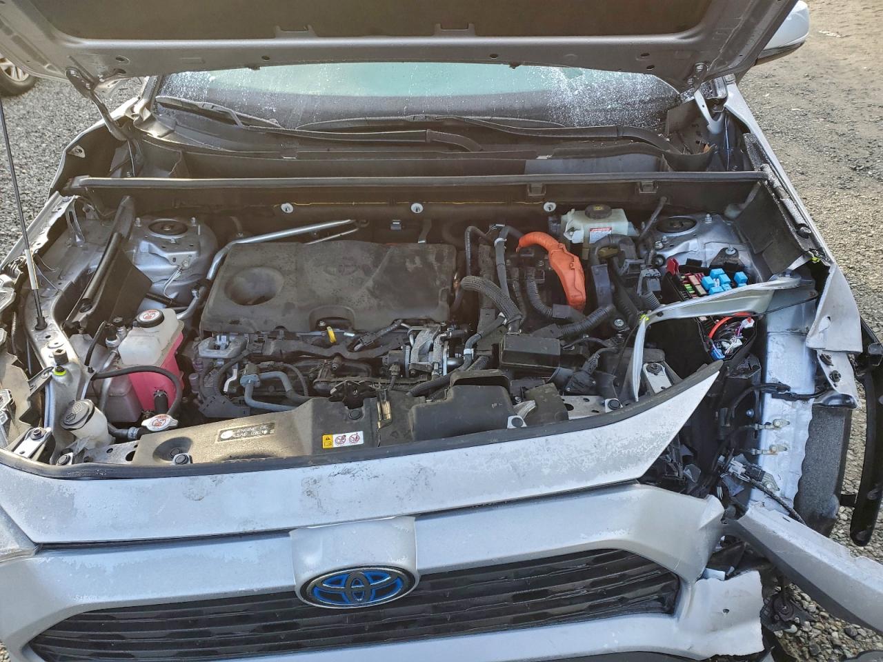 2019 TOYOTA RAV4 LE photo 12