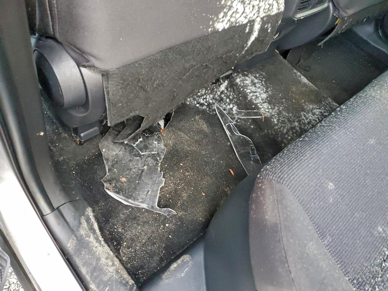 2019 TOYOTA RAV4 LE photo 13