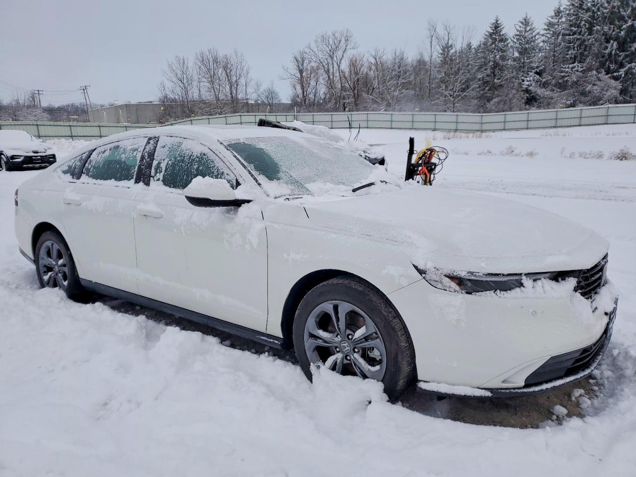 2025 HONDA ACCORD HYBRID EXL photo 4