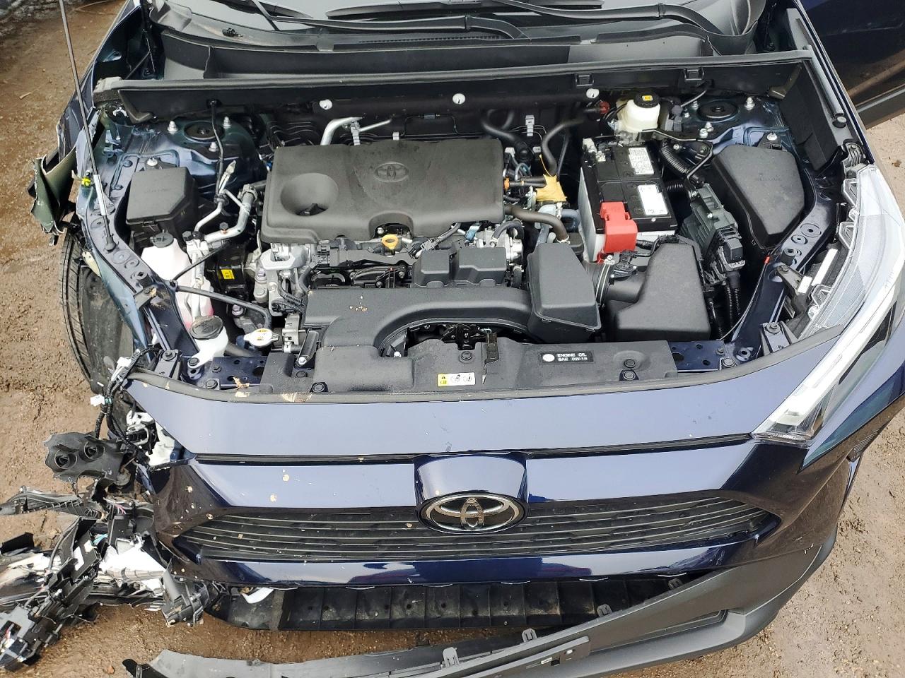 2025 TOYOTA RAV4 XLE photo 12