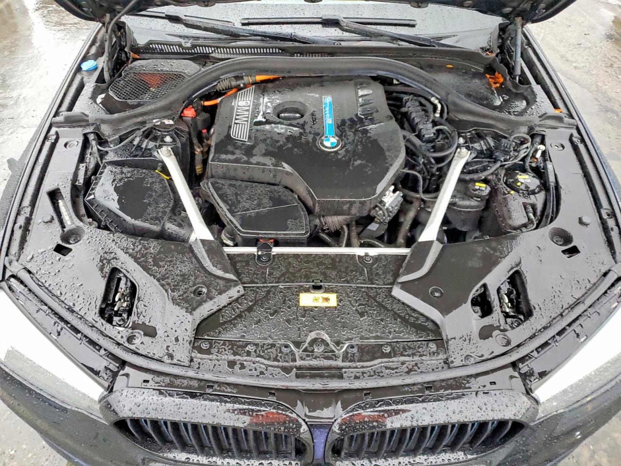 2019 BMW 530E photo 11