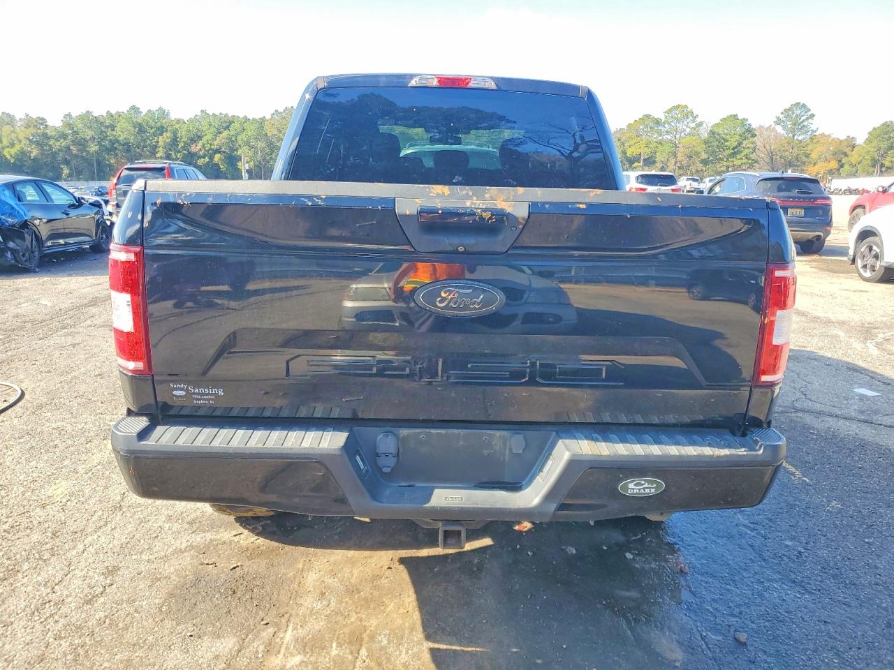 2018 FORD F150 photo 6