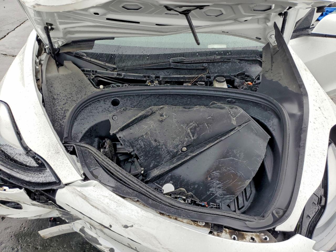 2023 TESLA MODEL 3 photo 11